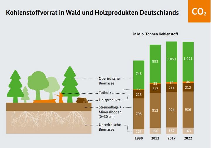 Quelle: Bundeswaldinventur / Bundesministerium für Ernährung und Landwirtschaft